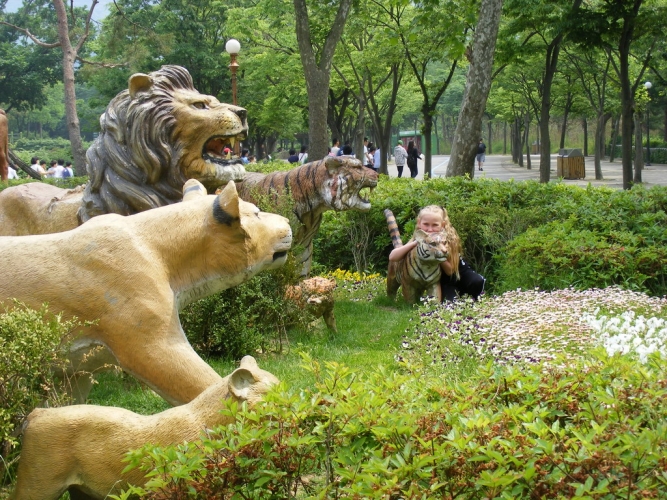 Seoul Zoo.074