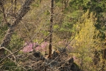 Гора Камера май 2012 24