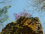 Гора Камера май 2012 31